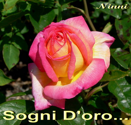 1 ora di straordinario a lavoro dedicato alla capa ninfomane 7